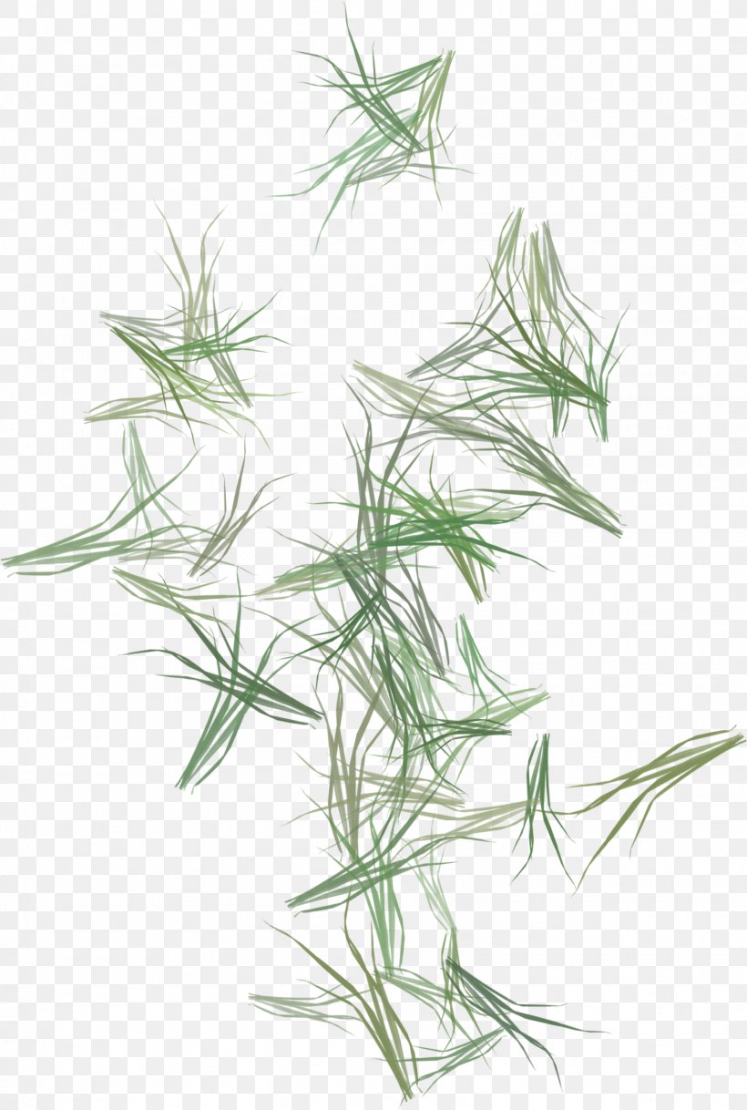 Herbaceous Plant Plant Stem Grassland, PNG, 1554x2310px, Herbaceous Plant, Animal, Bamboo, Calendar, Flower Download Free