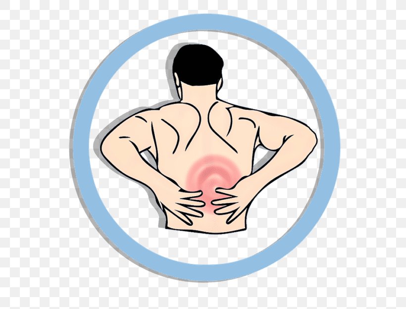 Middle Back Pain Low Back Pain Human Back Pain Management Health Care, PNG, 624x624px, Watercolor, Cartoon, Flower, Frame, Heart Download Free