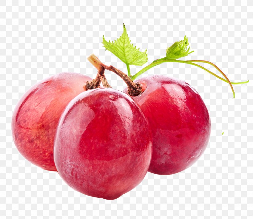 Wine Common Grape Vine Vitis Labrusca, PNG, 1500x1300px, Wine, Apple, Auglis, Berry, Common Grape Vine Download Free