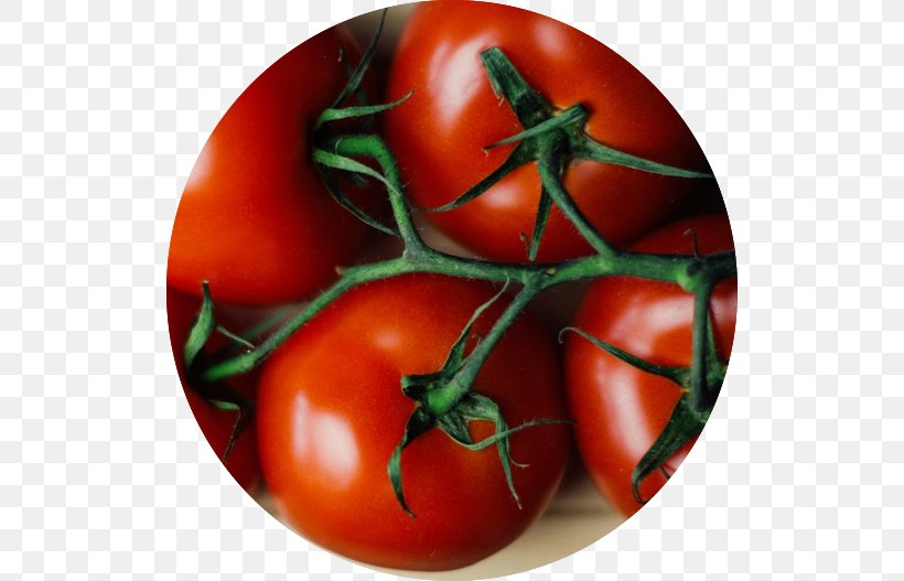 Chutney Roma Tomato Plum Tomato Vegetable Cherry Tomato, PNG, 518x527px, Chutney, Beefsteak Tomato, Bush Tomato, Canned Tomato, Cherry Tomato Download Free
