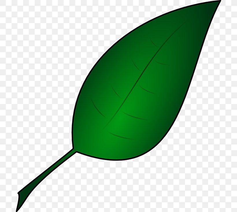 Leaf Product Design, PNG, 710x734px, Leaf, Grass, Green, Plant Download Free