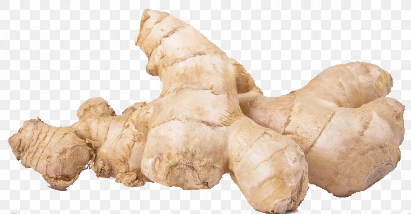 Ginger Tea Eating Cooking Radish, PNG, 1005x525px, Ginger, Carcinogen, Condiment, Cooking, Dish Download Free