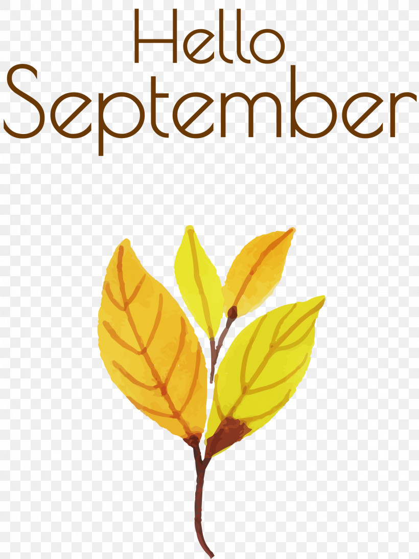 Hello September September, PNG, 2249x3000px, Hello September, Biology, Flower, Leaf, Meter Download Free