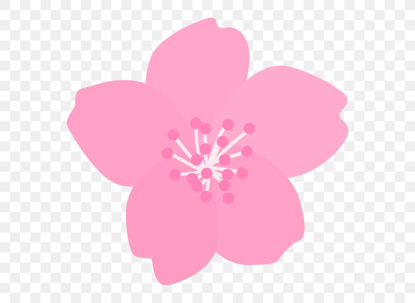 Illustration Cherry Blossom Vertebral Column Orthopedic Surgery Shinagawa Shisyokai Hospital, PNG, 600x600px, Cherry Blossom, Blossom, Bone Fracture, Clinic, Flower Download Free