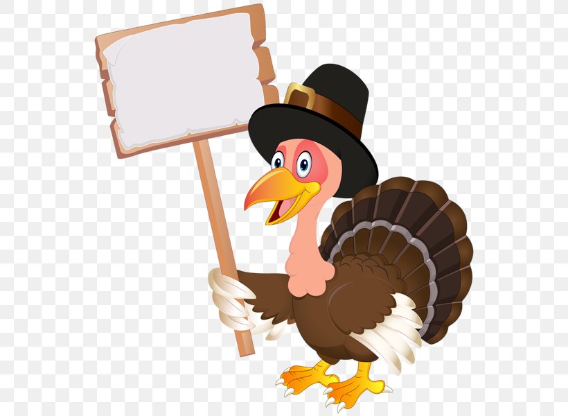 Thanksgiving Clip Art Image Turkey Meat, PNG, 554x600px, Thanksgiving, Animation, Beak, Bird, Christmas Day Download Free