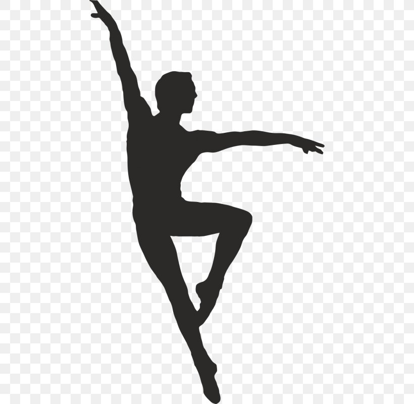 Ballet Dancer Pole Dance Silhouette, PNG, 800x800px, Ballet Dancer, Arm, Art, Ballet, Black And White Download Free