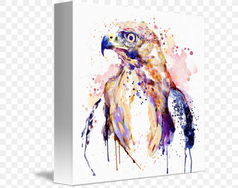 Hawk Watercolor Painting Bird Art, PNG, 606x650px, Hawk, Art, Beak, Bird, Bird Of Prey Download Free