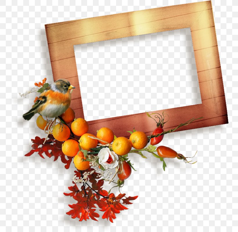 Picture Frames Photography Clip Art, PNG, 755x800px, Picture Frames, Corel Photopaint, Decor, Microsoft Paint, Orange Download Free