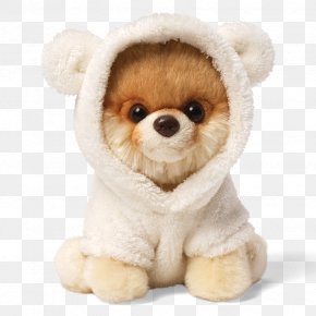 beanie boos puppy