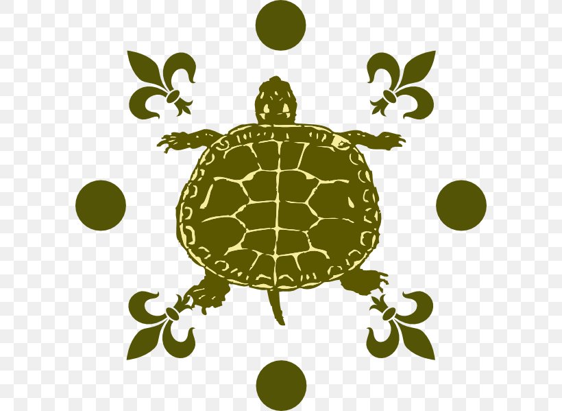 Tortoise Turtle Clip Art, PNG, 600x599px, Tortoise, Art, Grass, Green, Organism Download Free