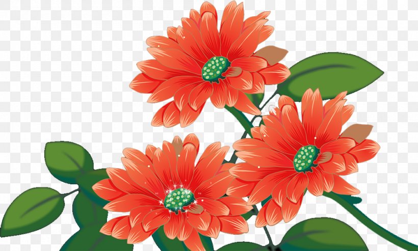 Chrysanthemum Transvaal Daisy Flower, PNG, 1000x602px, Chrysanthemum, Annual Plant, Chrysanths, Cut Flowers, Dahlia Download Free