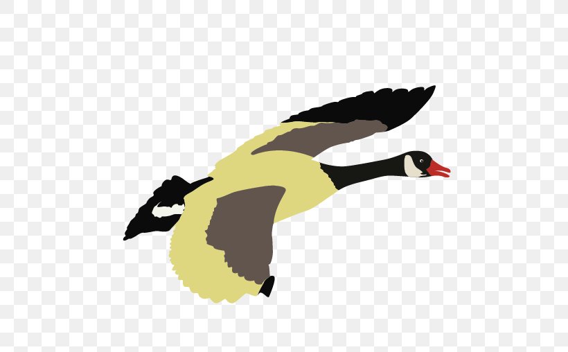 Duck Goose Beak Clip Art, PNG, 508x508px, Duck, Beak, Bird, Ducks Geese And Swans, Fauna Download Free