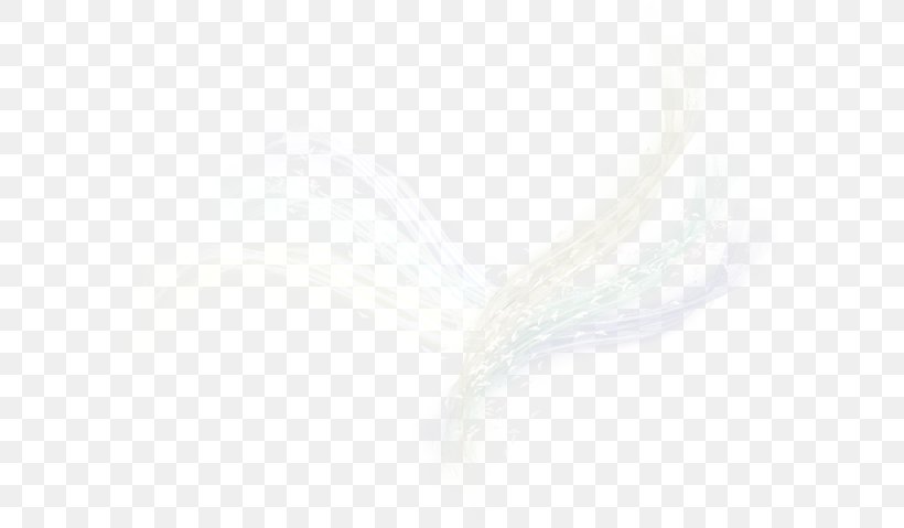 Eyebrow Close-up Feather, PNG, 600x479px, Eyebrow, Closeup, Feather, White, Wing Download Free