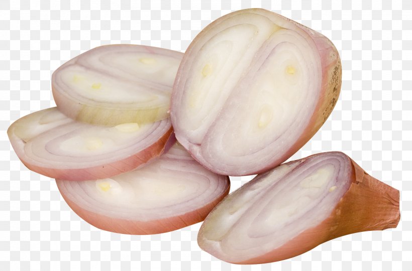 Shallot Vegetable, PNG, 1597x1053px, Shallot, Bulb, Commodity, Display Resolution, Image Resolution Download Free