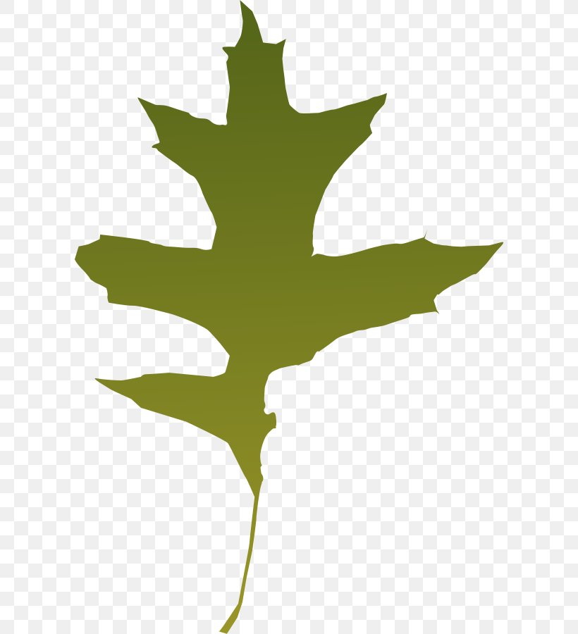 Autumn Leaf Color Clip Art, PNG, 608x900px, Leaf, Acorn, Autumn, Autumn Leaf Color, Branch Download Free