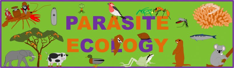 Ecosystem Ecology Interaction Parasitism Clip Art, PNG, 1000x292px, Ecosystem, Advertising, Art, Banner, Biology Download Free
