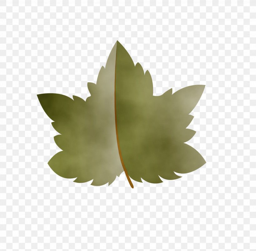 Leaf M-tree Tree Science Plant Structure, PNG, 3000x2949px, Autumn Leaf, Biology, Cartoon Leaf, Fall Leaf, Leaf Download Free