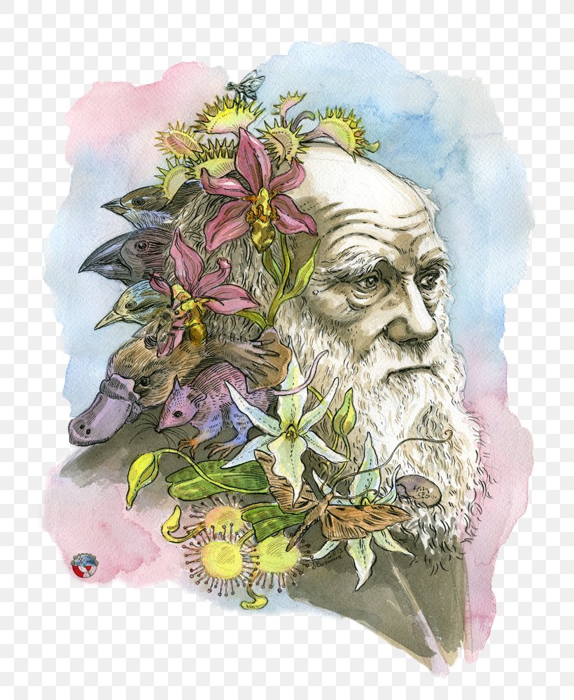 The Beak Of The Finch: A Story Of Evolution In Our Time The Theory Of Evolution Darwin Day Darwinism, PNG, 770x1000px, Darwin Day, Art, Biology, Charles Darwin, Darwinism Download Free