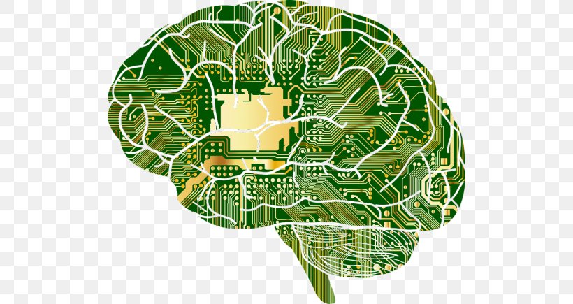 Brain Computer Science Computer Simulation Clip Art, PNG, 640x435px, Watercolor, Cartoon, Flower, Frame, Heart Download Free