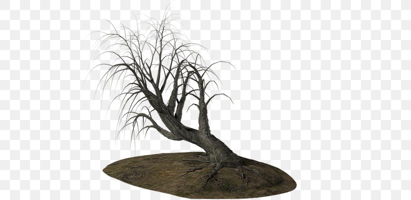 Branch Tree Clip Art, PNG, 700x400px, Branch, Animaatio, Bonsai, Free Software, Gratis Download Free