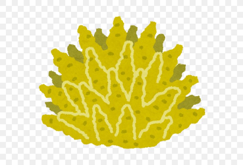 Coral Reef Waifu Gemstone Mustard, PNG, 601x558px, Coral, Association, Clothing Accessories, Coral Reef, Gemstone Download Free