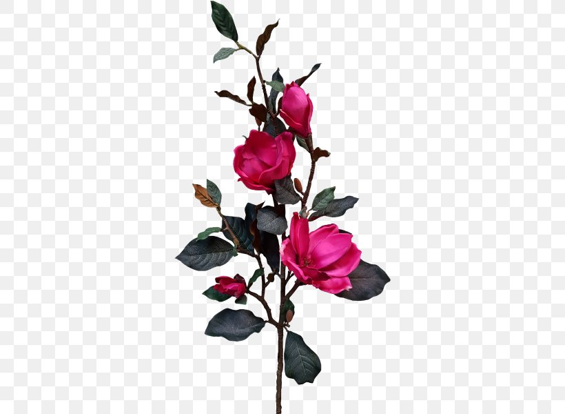 Cut Flowers Garden Roses Bud, PNG, 800x600px, Flower, Artificial Flower, Blossom, Branch, Bud Download Free