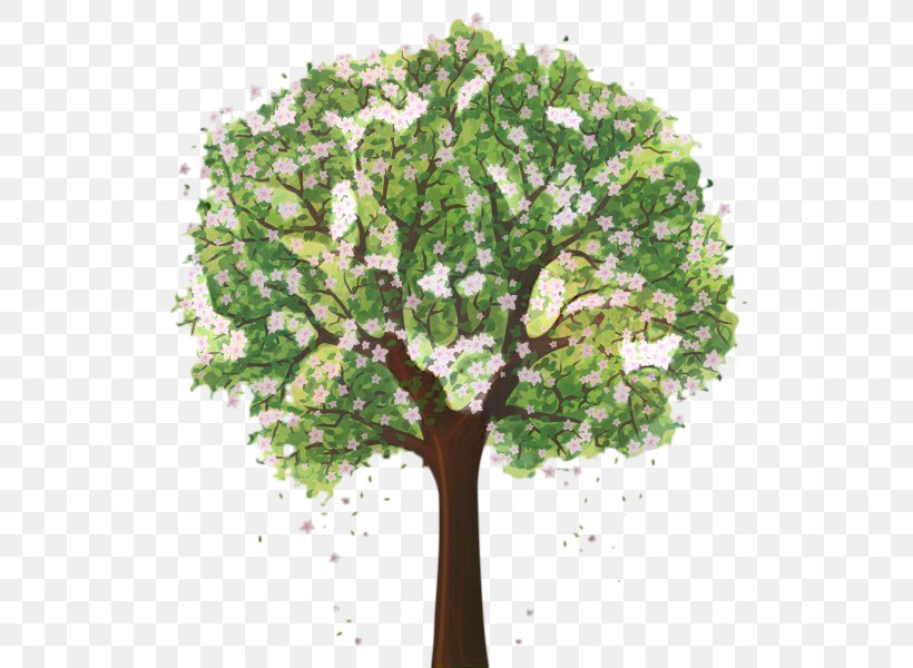 Vector Graphics Tree Clip Art Drawing, PNG, 531x600px, Tree, Arbor Day, Blossom, Branch, Cherries Download Free