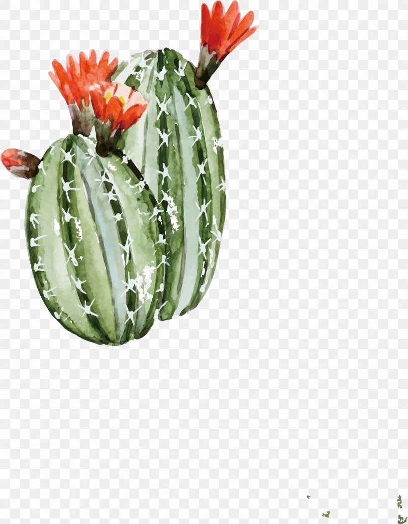 Cactaceae Watercolor Painting Illustration, PNG, 2303x2952px, Cactaceae, Barbary Fig, Cactus, Canvas, Drawing Download Free