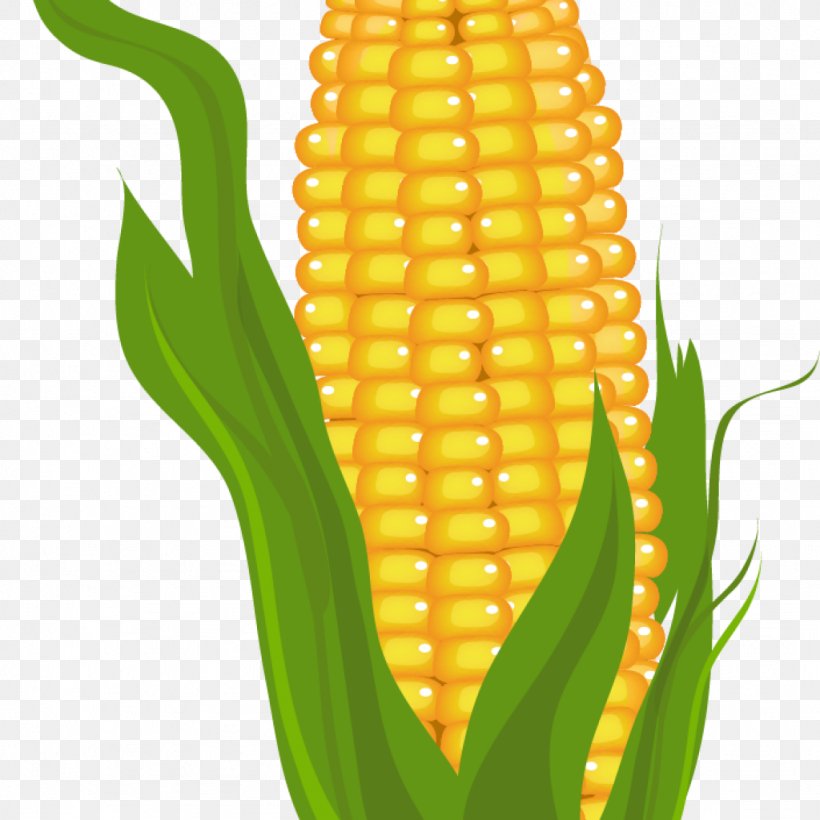 Clip Art Openclipart Corn On The Cob Free Content, PNG, 1024x1024px, Corn, Anthurium, Arum Family, Blog, Corn Kernels Download Free