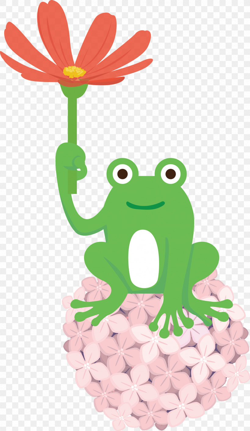 Frogs Cartoon Tree Frog Flower Science, PNG, 1739x3000px, Frog, Biology, Cartoon, Flower, Frogs Download Free