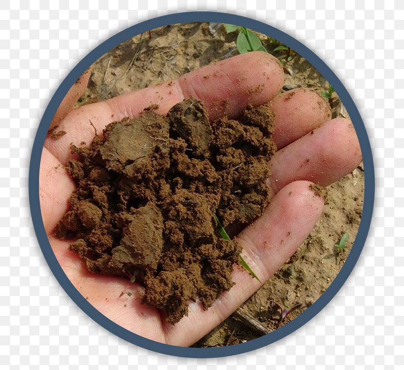 Washington Park Arboretum UW Botanic Gardens Compost Soil University Of Washington, PNG, 750x750px, Garden, Agriculture, Compost, Education, Fertilisers Download Free