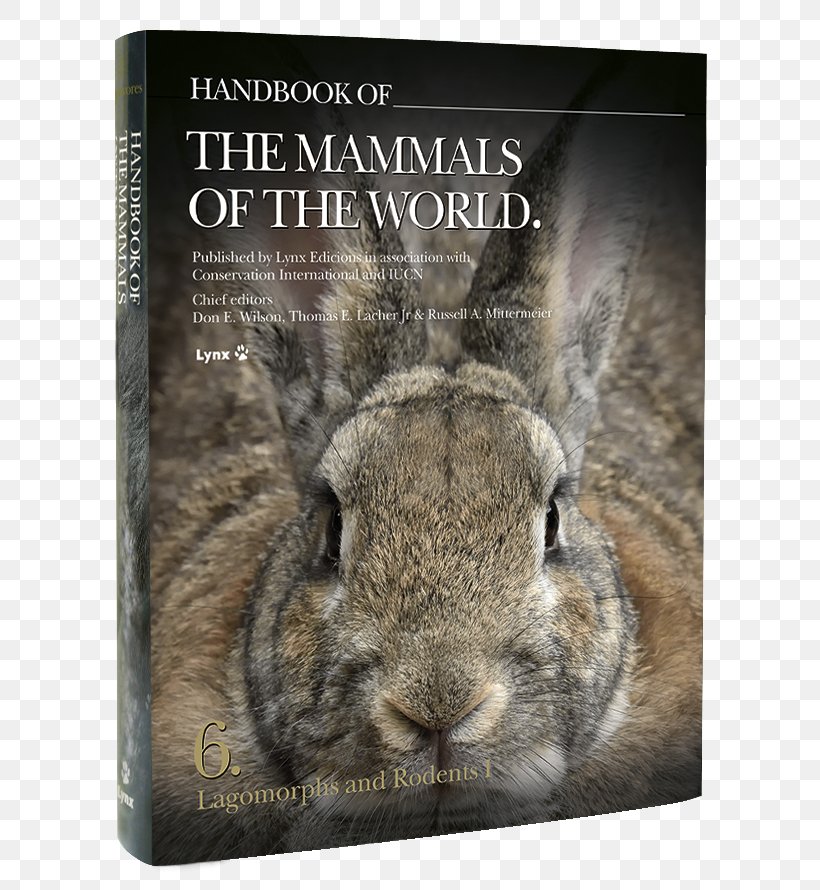 Domestic Rabbit Handbook Of The Mammals Of The World: Lagomorphs And Rodents I Handbook Of The Birds Of The World Handbook Of The Mammals Of The World, PNG, 647x890px, Domestic Rabbit, Book, Don E Wilson, Fauna, Handbook Of The Birds Of The World Download Free