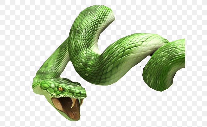 Snake Desktop Wallpaper High-definition Television, PNG, 646x503px, Snake, Boa Constrictor, Boas, Computer, Display Resolution Download Free