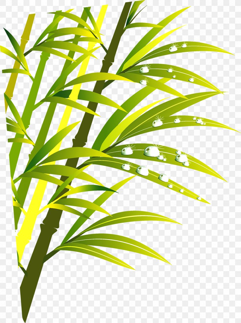 Bamboo, PNG, 1200x1605px, Bamboo, Element, Grass, Grass Family, Grasses Download Free