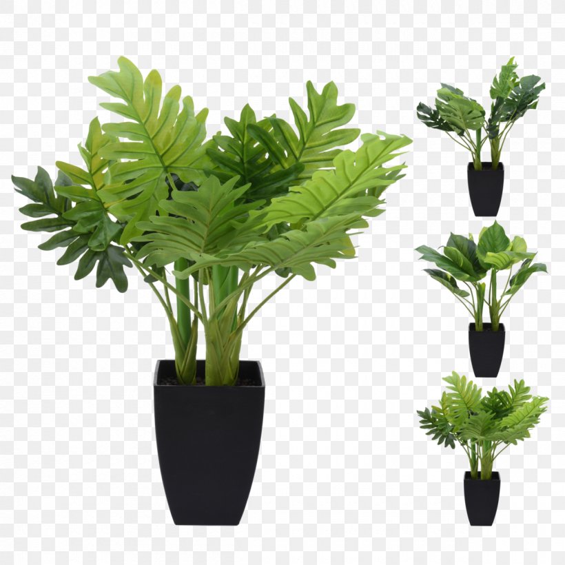 Ornamental Plant Artificial Flower Price, PNG, 1200x1200px, Plant, Artificial Flower, Artikel, Discounts And Allowances, Fern Download Free
