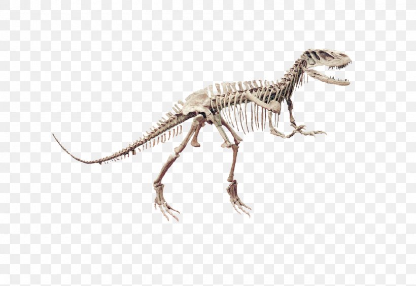 Velociraptor Tyrannosaurus Fauna Terrestrial Animal, PNG, 1280x880px, Velociraptor, Animal, Animal Figure, Dinosaur, Extinction Download Free