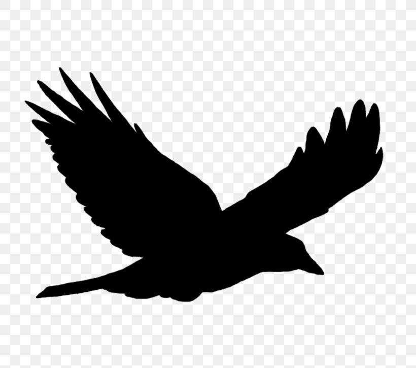 Bird Flight Bird Flight Silhouette Clip Art, PNG, 768x725px, Bird, Accipitriformes, Bald Eagle, Beak, Bird Flight Download Free