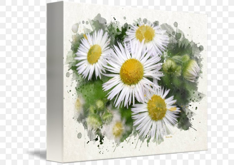 Common Daisy Floral Design Watercolor Painting Art, PNG, 650x579px, Common Daisy, Art, Art Museum, Aster, Canvas Download Free