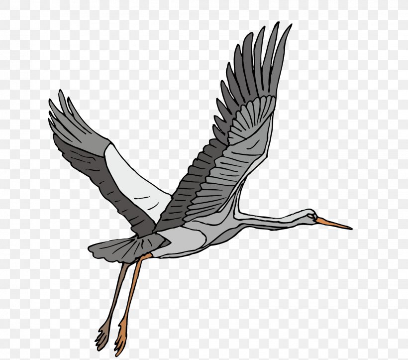 Sandhill Crane Bird Heron Clip Art, PNG, 1544x1362px, Crane, Beak, Bird, Bird Of Prey, Blue Crane Download Free