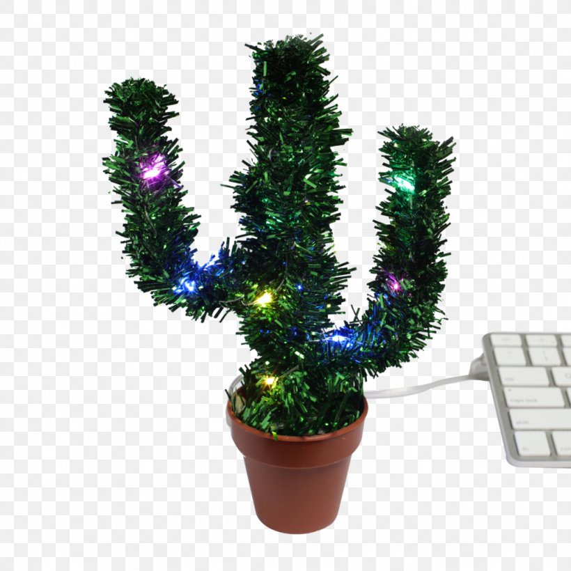 Schlumbergera Fir Light Saguaro Christmas, PNG, 1024x1024px, Schlumbergera, Cactaceae, Christmas, Christmas Decoration, Christmas Lights Download Free