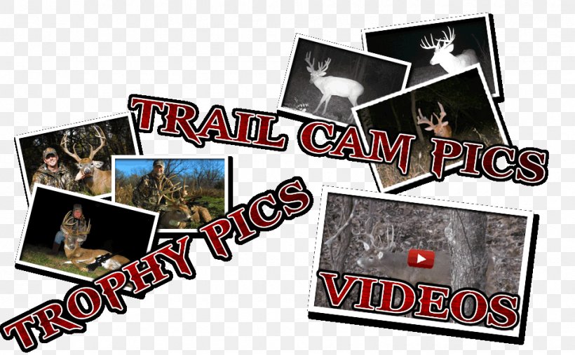 Southeast Kansas White-tailed Deer Outfitter Hunting, PNG, 970x600px, Southeast Kansas, Brand, Game, Hunting, Kansas Download Free