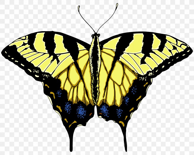 Butterfly T-shirt Yellow Clip Art, PNG, 3000x2400px, Butterfly, Arthropod, Black Swallowtail, Brush Footed Butterfly, Drawing Download Free