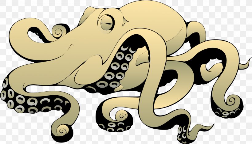 Common Octopus Coleoids Clip Art, PNG, 1600x919px, Octopus, Ausmalbild, Cephalopod, Coleoids, Common Octopus Download Free