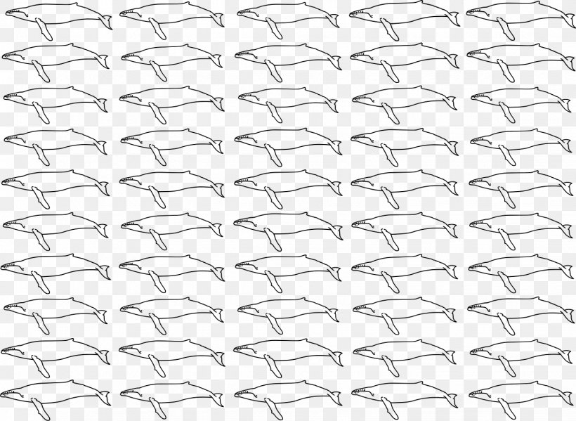 Line Point Angle White Material, PNG, 1431x1046px, Point, Area, Black, Black And White, Black M Download Free