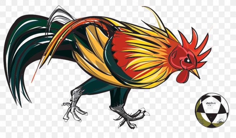 Rooster Beak Feather Dragon, PNG, 1502x881px, Rooster, Beak, Bird, Cartoon, Chicken Download Free