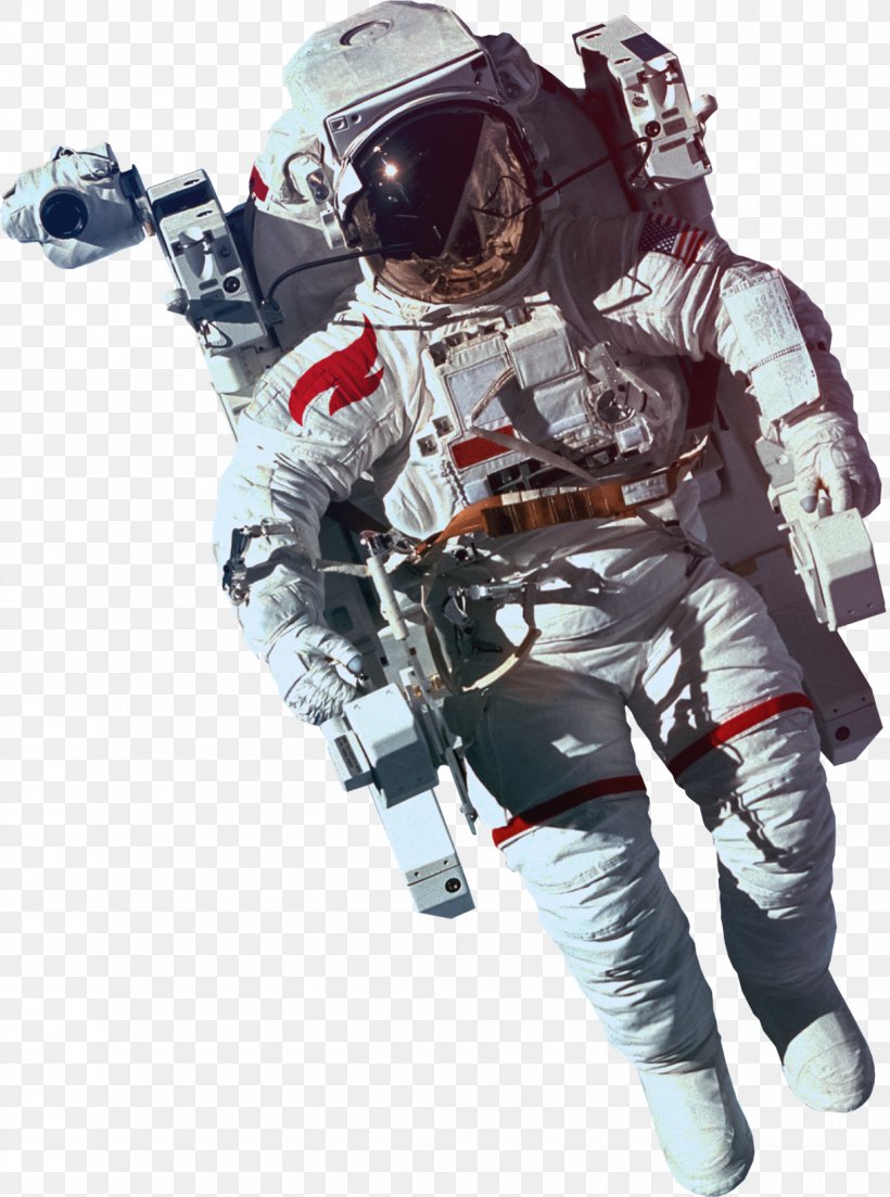 Astronaut Human Spaceflight Spacecraft Profession, PNG, 1220x1642px, Astronaut, Archive File, Data, Human Spaceflight, Learning Download Free