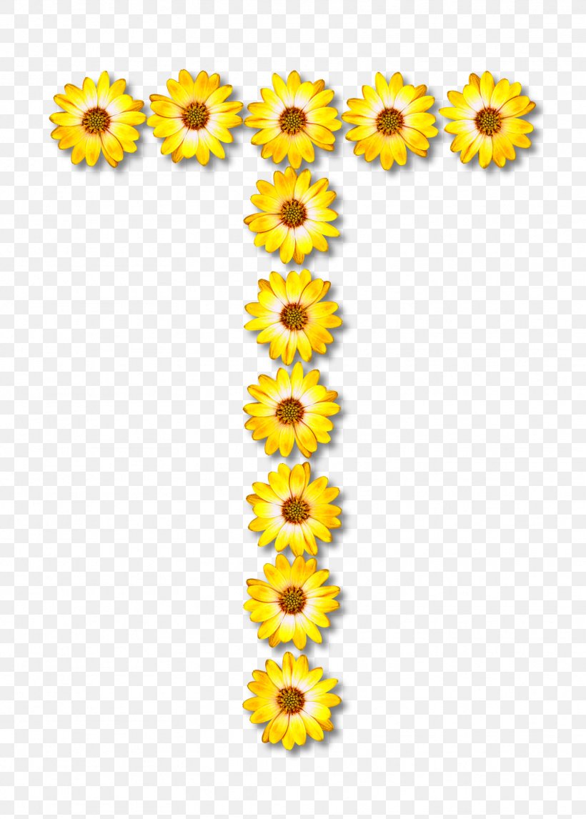 Common Sunflower Cut Flowers Alphabet Clip Art, PNG, 1717x2400px, Flower, Alphabet, Common Sunflower, Cut Flowers, Daisy Family Download Free