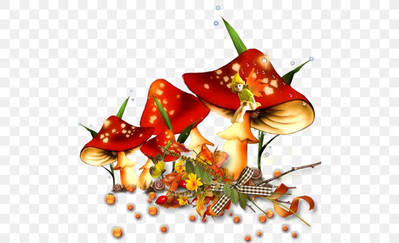 Mushroom Clip Art, PNG, 500x500px, Mushroom, Autumn, Bell Peppers And Chili Peppers, Drawing, Food Download Free