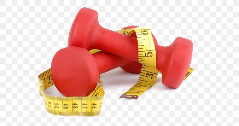 Physical Fitness Weight Training Physical Exercise Weight Loss Personal Trainer, PNG, 650x432px, Physical Fitness, Abdominal Exercise, Aerobic Exercise, Boxing Glove, Cardiovascular Fitness Download Free