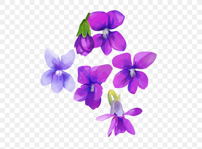 Watercolour Flowers Purple Violet Watercolor Painting, PNG, 600x607px, Watercolour Flowers, Color, Cut Flowers, Flower, Flowering Plant Download Free